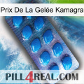 Prix De La Gelée Kamagra viagra1